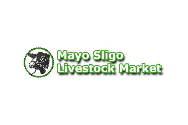 Mayo Sligo