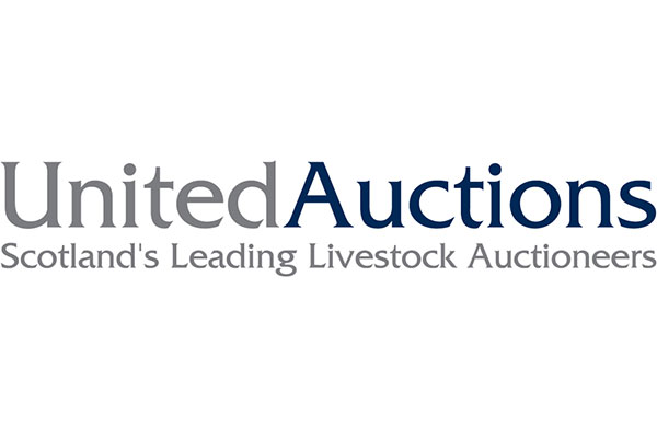 United Auctions